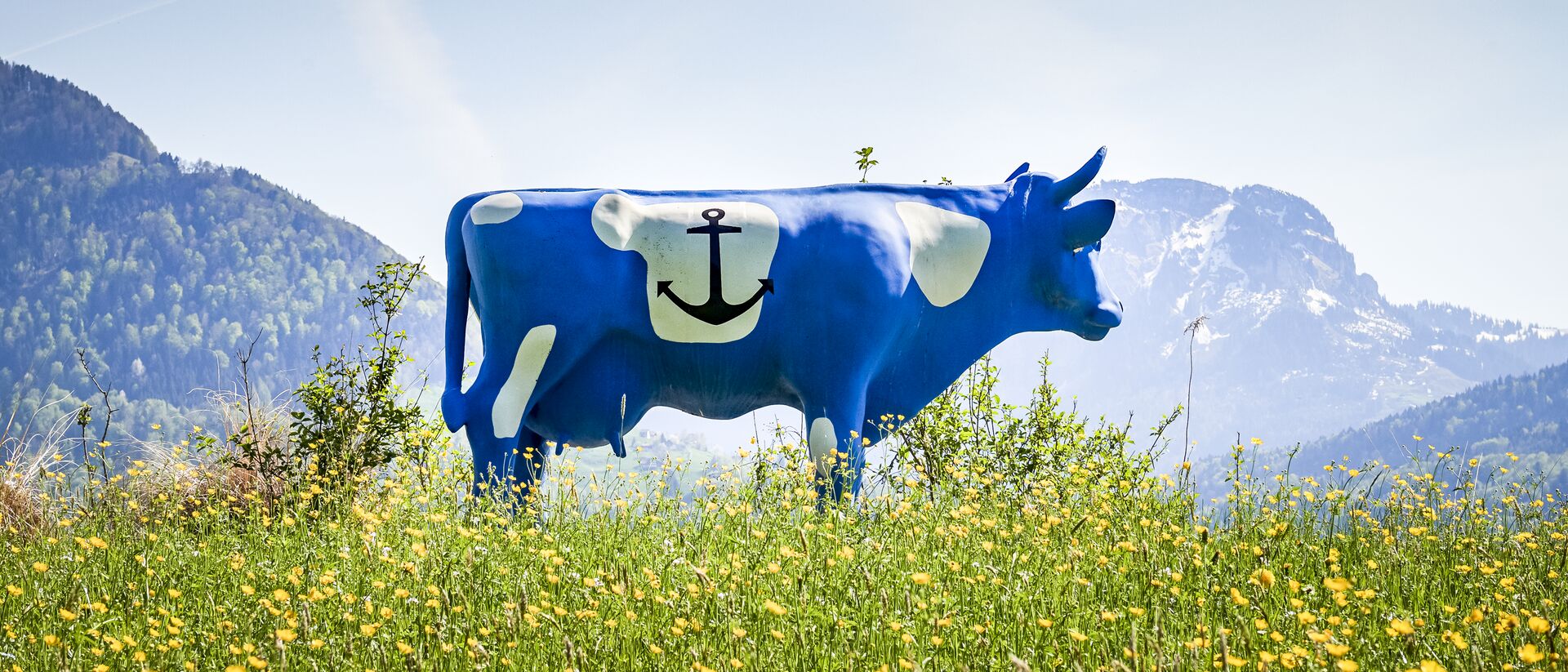 KIBAG Jobs Wallpaper