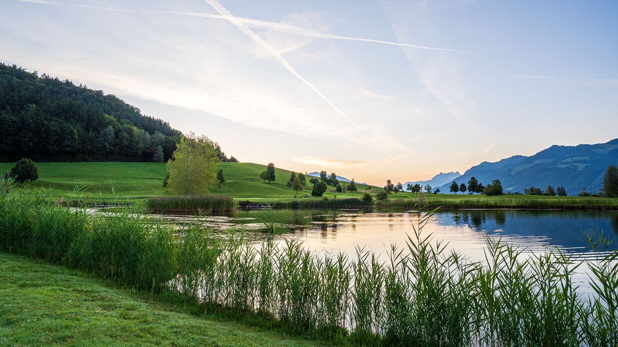 KIBAG Renaturierung Golfplatz