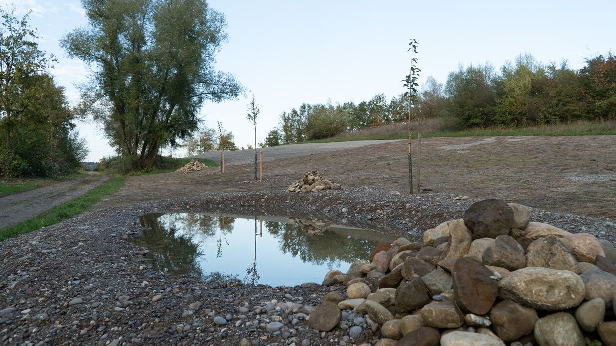 KIBAG renaturierung regensdorf