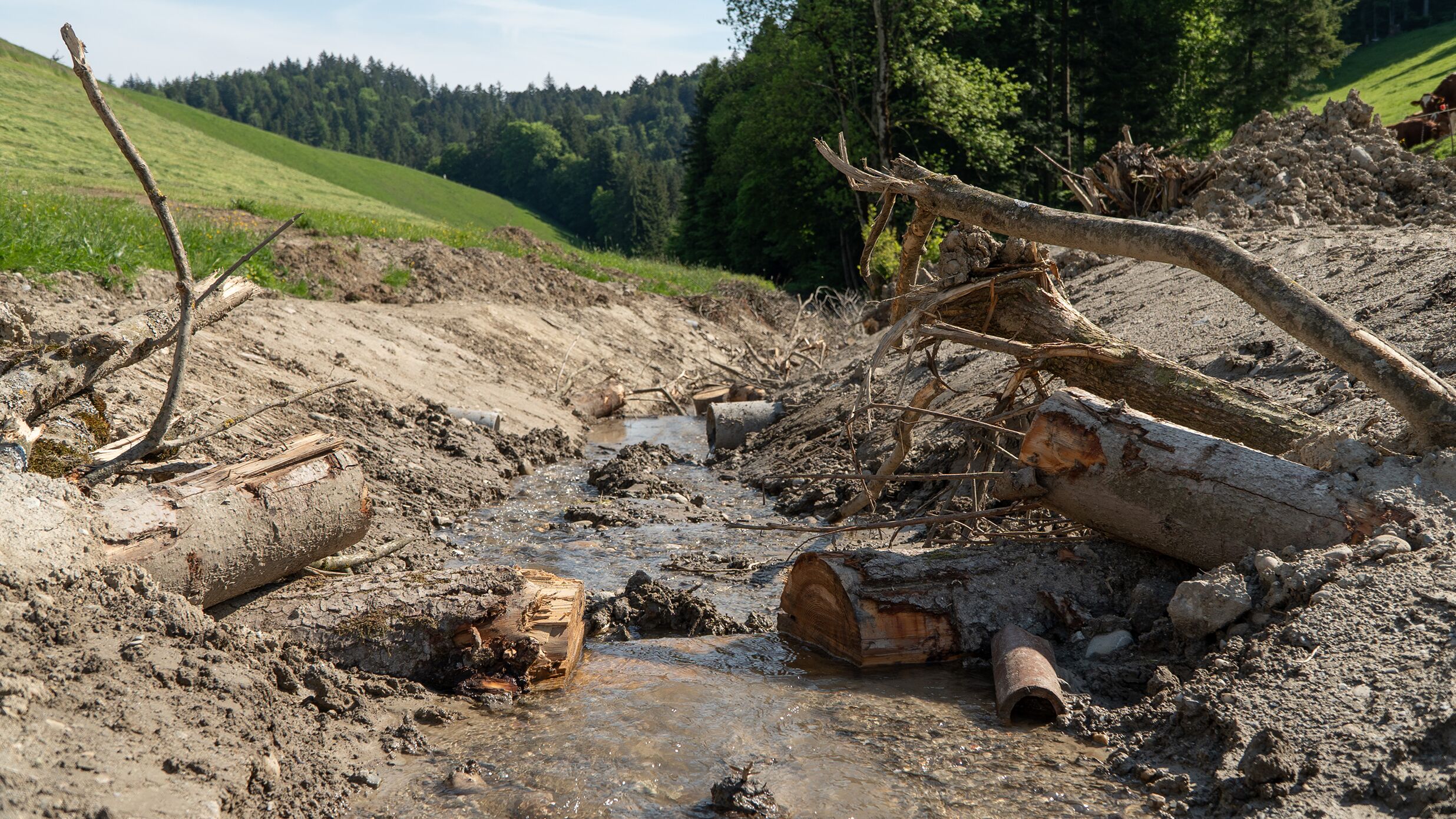 KIBAG bauen Rohrbachgraben Renaturierung