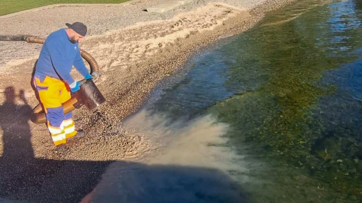 Linked In badi rueschlikon